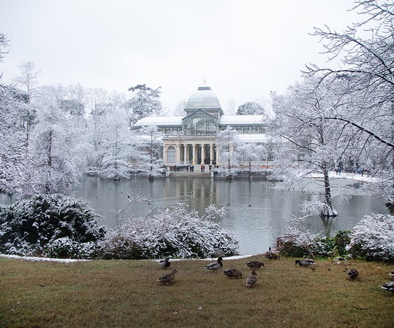 Fotografía del Parque de El Retiro – Madrid